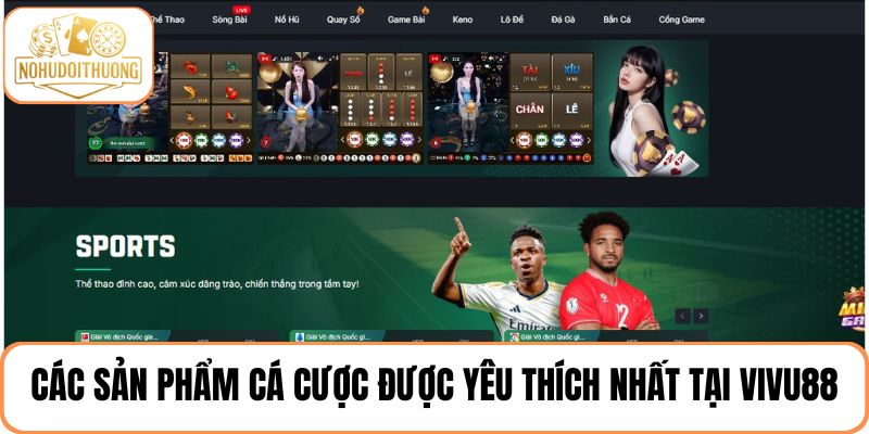 5 Sản phẩm giải trí được yêu thích nhất trên trang VIVU88