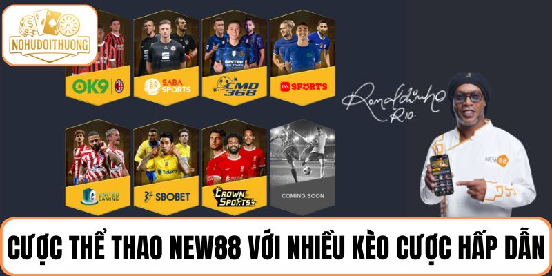 Đặt cược thể thao NEW88 với nhiều kèo cược hấp dẫn